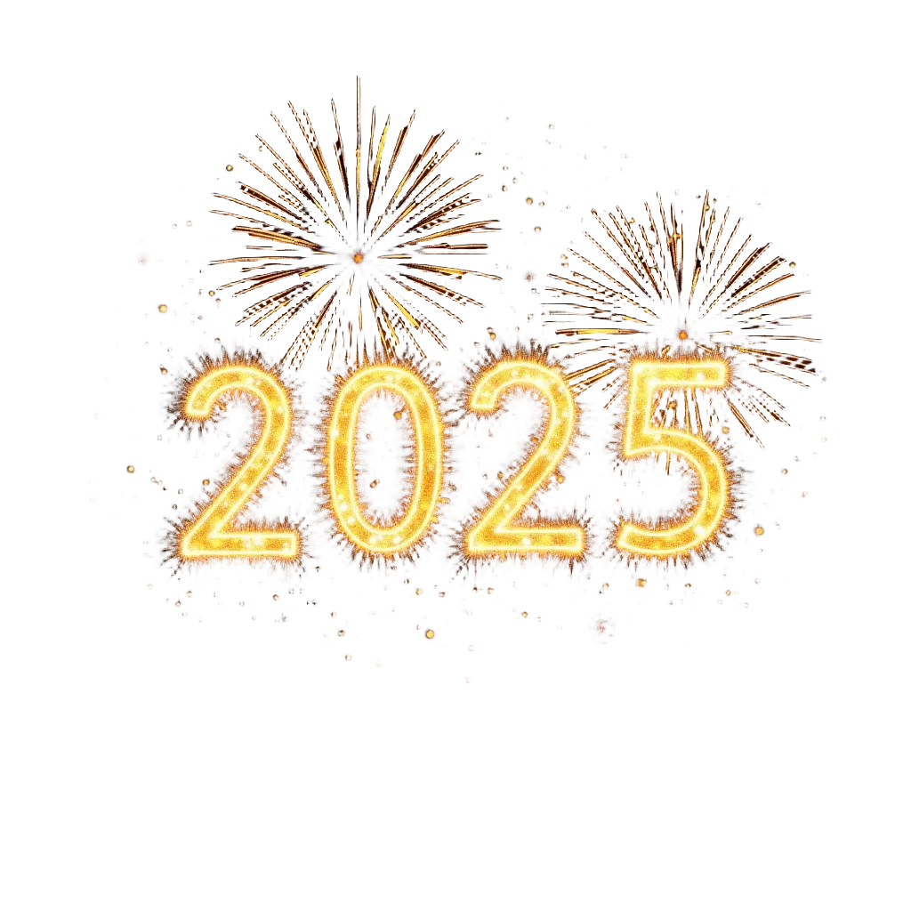 2025 New Year Celebration